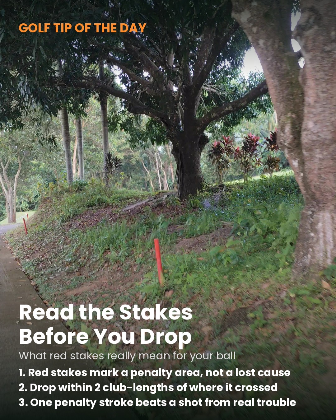 A red stake marking the edge of a penalty area along a tree-lined fairway